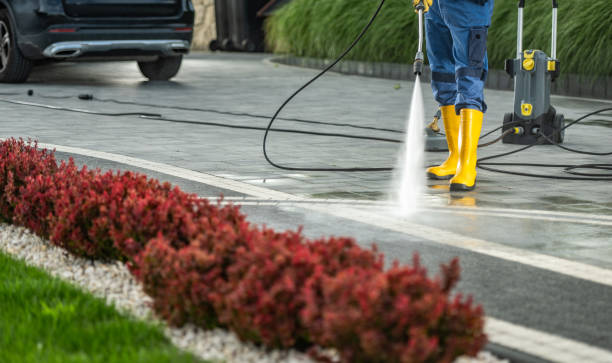 Best Pool Deck Cleaning  in Palermo, CA